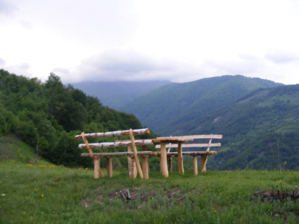 Hotel Domogled Băile Herculane Buitenkant foto